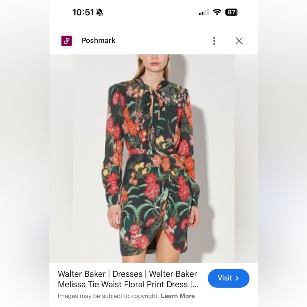 Walter Baker Green Floral Tie-Waist Long Sleeve Dress